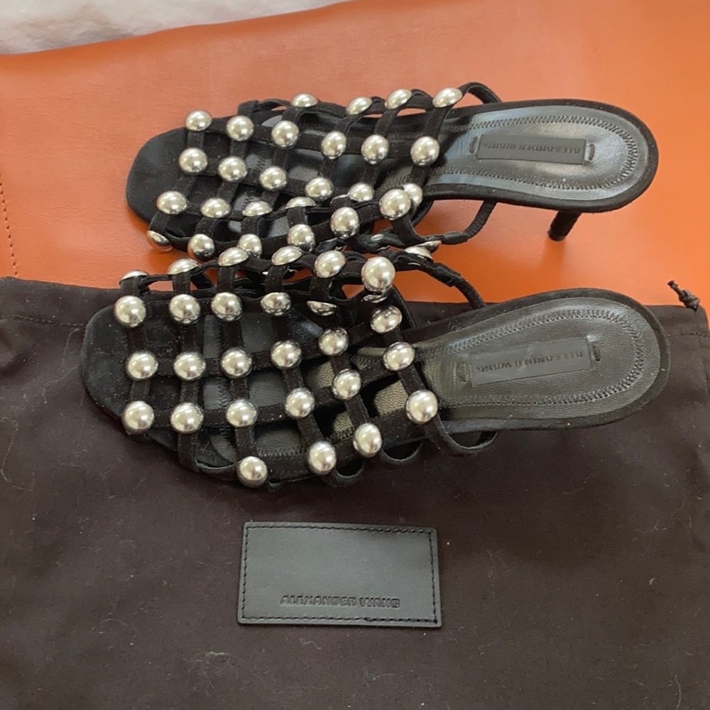 One of a kind Alexander Wang sandals.
